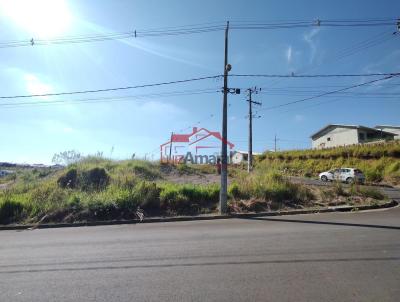 Lote para Venda, em Irati, bairro Vila Verde