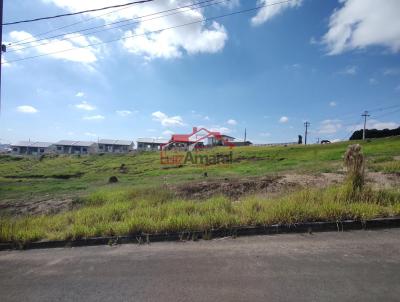 Lote para Venda, em Irati, bairro Vila Verde