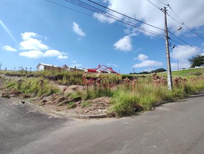 Lote para Venda, em Irati, bairro Vila Verde