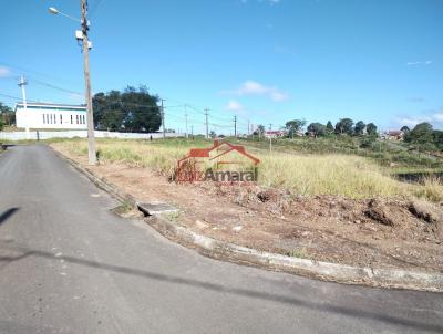 Lote para Venda, em Irati, bairro Vila Verde