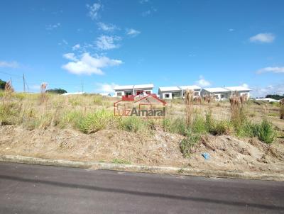 Lote para Venda, em Irati, bairro Vila Verde