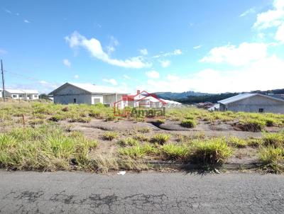 Lote para Venda, em Irati, bairro Vila Verde