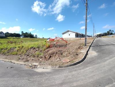 Lote para Venda, em Irati, bairro Vila Verde