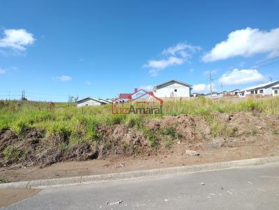 Lote para Venda, em Irati, bairro Vila Verde