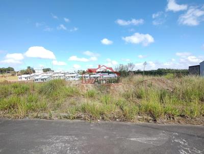 Lote para Venda, em Irati, bairro Vila Verde
