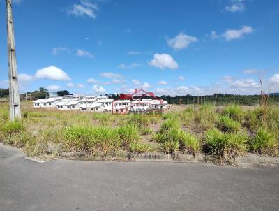 Lote para Venda, em Irati, bairro Vila Verde