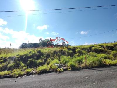 Lote para Venda, em Irati, bairro Vila Verde
