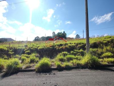 Lote para Venda, em Irati, bairro Vila Verde