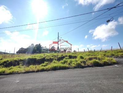 Lote para Venda, em Irati, bairro Vila Verde
