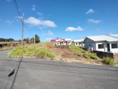Lote para Venda, em Irati, bairro Vila Verde