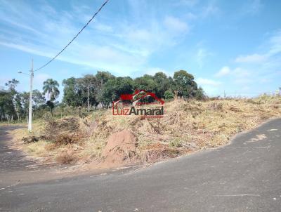 Lote para Venda, em Irati, bairro Vila Verde