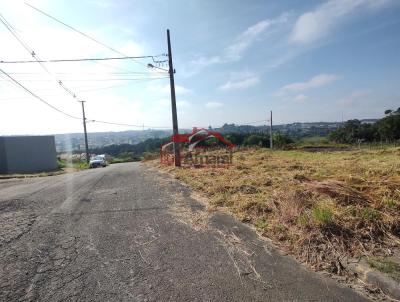 Lote para Venda, em Irati, bairro Vila Verde