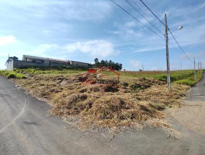 Lote para Venda, em Irati, bairro Vila Verde