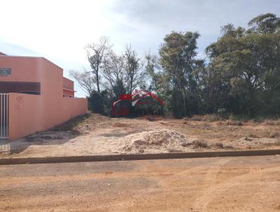 imagem-miniatura