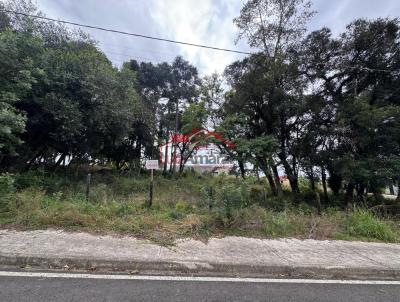 Lote para Venda, em Irati, bairro Jardim Virgnia