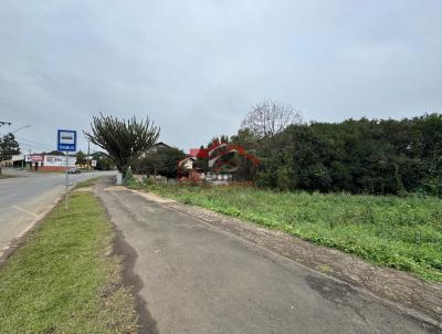 Lote para Venda, em Irati, bairro Vila São João
