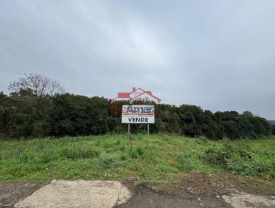 Lote para Venda, em Irati, bairro Vila  São João