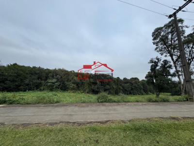 Lote para Venda, em Irati, bairro Vila São João