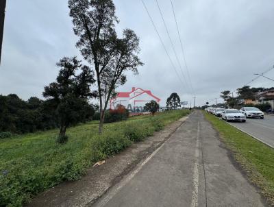 Lote para Venda, em Irati, bairro Vila  São João
