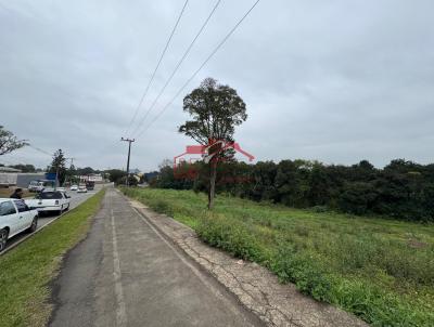 imagem-miniatura