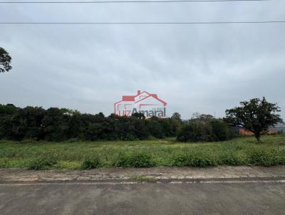 Lote para Venda, em Irati, bairro Vila São João