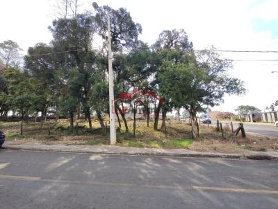 Lote para Venda, em Irati, bairro Jardim Virgnia