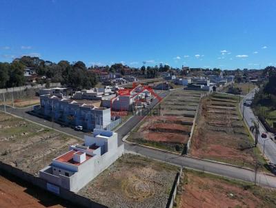 imagem-miniatura
