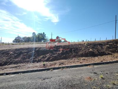 Lote para Venda, em Irati, bairro Vila Verde