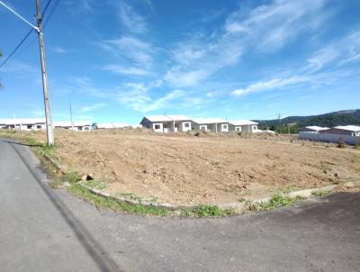 imagem-miniatura