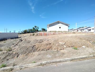 imagem-miniatura