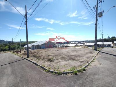 Lote para Venda, em Irati, bairro Vila Verde