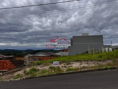Lote para Venda, em Irati, bairro Vila Verde