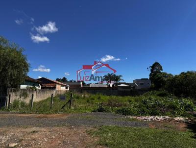 Lote para Venda, em Irati, bairro So Pedro