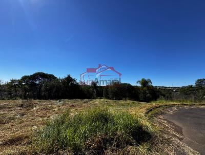 Lote para Venda, em Irati, bairro Vila Verde