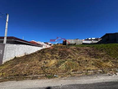 Lote para Venda, em Irati, bairro Vila Verde