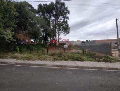 Lote para Venda, em Irati, bairro Jardim Virg�nia