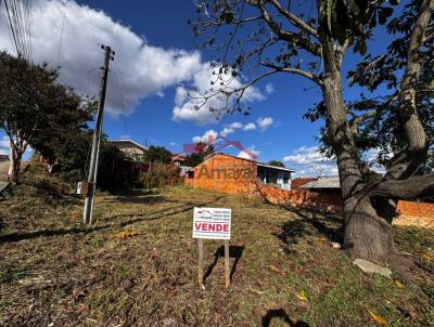Lote para Venda, em Irati, bairro Vila Matilde