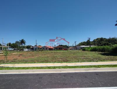 imagem-miniatura