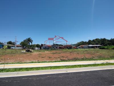 imagem-miniatura
