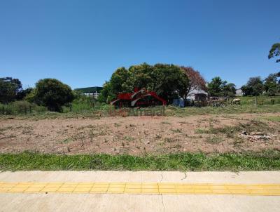 imagem-miniatura