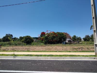 imagem-miniatura