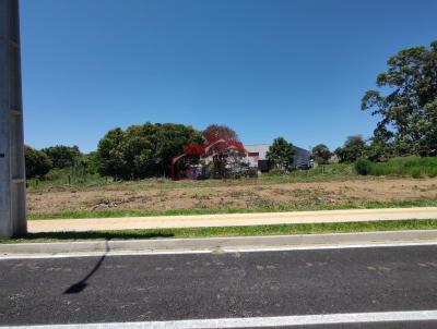 imagem-miniatura