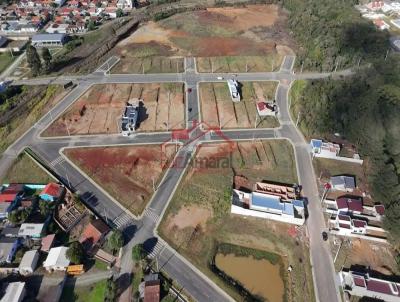 imagem-miniatura