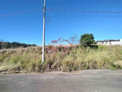 imagem-miniatura