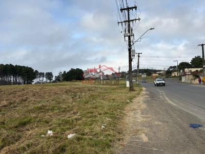 Lote para Venda, em Irati, bairro LAGOA