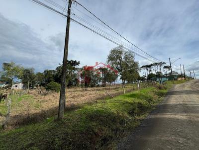 Lote para Venda, em Irati, bairro Vila  S�o Jo�o