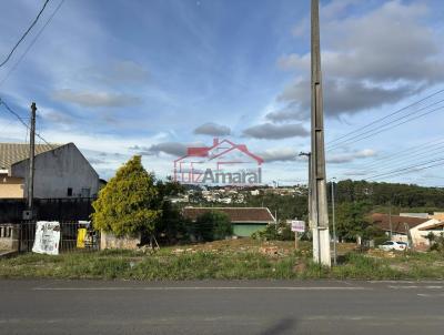 Lote para Venda, em Irati, bairro Rio Bonito