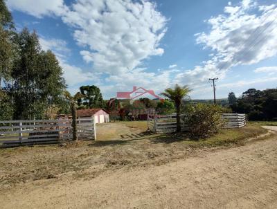 Ch�cara para Venda, em Irati, bairro Papu� dos Fiori, 1 dormit�rio, 1 banheiro, 1 vaga