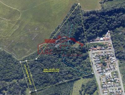 Lote para Venda, em Irati, bairro PEDREIRA