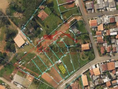 imagem-miniatura